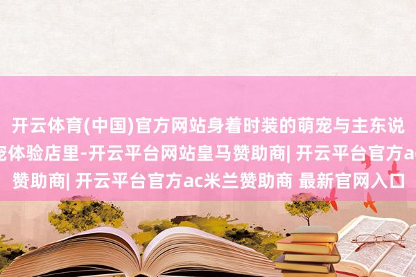开云体育(中国)官方网站身着时装的萌宠与主东说念主同台走秀；在异宠体验店里-开云平台网站皇马赞助商| 开云平台官方ac米兰赞助商 最新官网入口