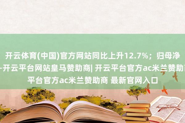开云体育(中国)官方网站同比上升12.7%；归母净利润31.37亿元-开云平台网站皇马赞助商| 开云平台官方ac米兰赞助商 最新官网入口