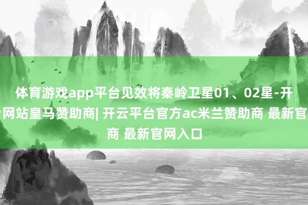 体育游戏app平台见效将秦岭卫星01、02星-开云平台网站皇马赞助商| 开云平台官方ac米兰赞助商 最新官网入口